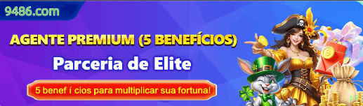 Interface do Aplicativo p9 - Design Premium e Intuitivo